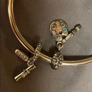 Pandora Charm Bundle